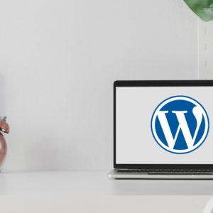 Por que o WordPress faz tanto sucesso ainda hoje